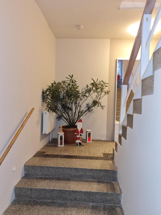 Haus Fernblick Apartment Kurort Bärenburg Екстериор снимка